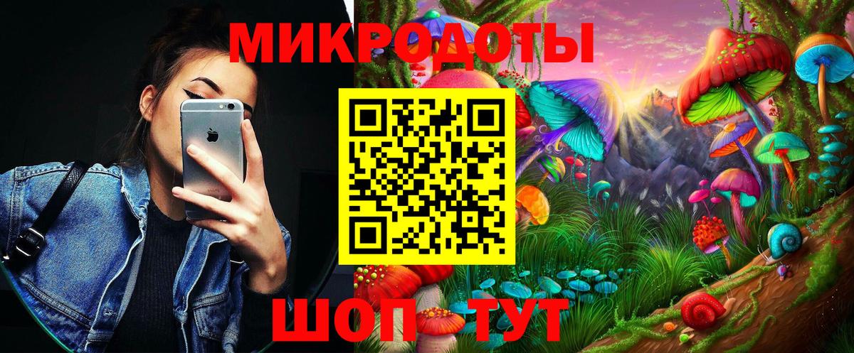Псилоцибиновые грибы Psilocybine cubensis Клинцы