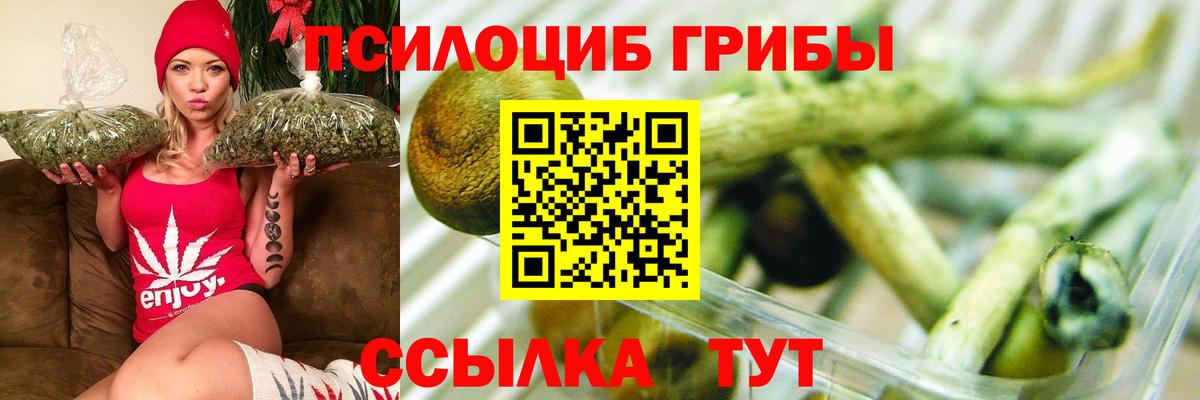 Псилоцибиновые грибы мухоморы  Вход с VPN  Клинцы 